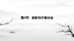 初中 生物 北師大版（2024）七年級下冊4.9.3 皮膚與汗液分泌 課件