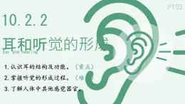 初中 生物 北師大版（2024）七年級下冊4.10.2.2 感受器和感覺器官-耳和聽覺的形成 課件