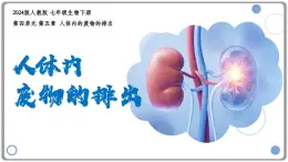 4.5人體內(nèi)廢物的排出課件-2024-2025學年人教版生物七年級下冊