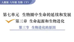 2025年春人教版生物八年級(jí)下冊(cè)教學(xué)課件 第7單元 第3章 第3節(jié) 生物進(jìn)化的原因