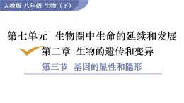 2025年春人教版生物八年級(jí)下冊(cè)教學(xué)課件 第7單元 第2章 第3節(jié) 基因的顯性和隱性