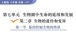 2025年春人教版生物八年級(jí)下冊(cè)教學(xué)課件 第7單元 第2章 第1節(jié) 基因控制生物的性狀