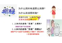人教版生物七年級下冊4.5《人體內(nèi)廢物的排出》課件