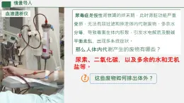 初中 生物 人教版（2024）七年級(jí)下冊(cè)4.5 人體內(nèi)廢物的排出 課件