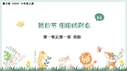 1.1.4細(xì)胞的生命活動（教學(xué)課件）——初中生物學(xué)冀少版（2024）七年級上冊