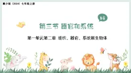 1.2.3器官和系統(tǒng)（教學(xué)課件）——初中生物學(xué)冀少版（2024）七年級上冊