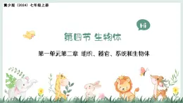 1.2.4生物體（教學(xué)課件）——初中生物學(xué)冀少版（2024）七年級上冊