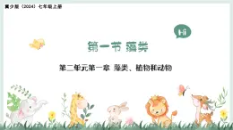2.1.1藻類（教學(xué)課件）——初中生物學(xué)冀少版（2024）七年級上冊