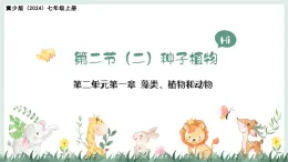 2.1.2（二）種子植物（教學(xué)課件）——初中生物學(xué)冀少版（2024）七年級上冊
