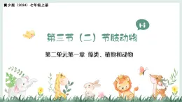 2.1.3（二）節(jié)肢動物（教學(xué)課件）——初中生物學(xué)冀少版（2024）七年級上冊