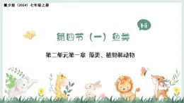 2.1.4（一）魚類（教學(xué)課件）——初中生物學(xué)冀少版（2024）七年級上冊