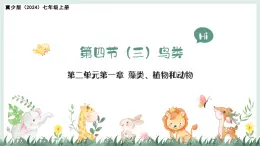 2.1.4（三）鳥類（教學(xué)課件）——初中生物學(xué)冀少版（2024）七年級上冊