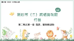2.1.4（二）兩棲類和爬行類（教學(xué)課件）——初中生物學(xué)冀少版（2024）七年級上冊