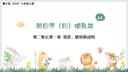 2.1.4（四）哺乳類（教學(xué)課件）——初中生物學(xué)冀少版（2024）七年級上冊
