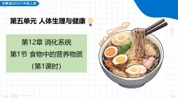 12.1 食物中的營養(yǎng)物質(zhì) 第1課時（教學(xué)課件）-2025-2026學(xué)年八年級生物上冊（蘇教版2024）