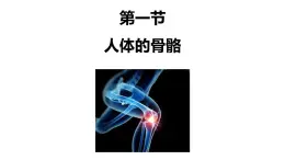 初中生物北師大版（2024）七年級下冊4.11.1 人體的骨骼 課件