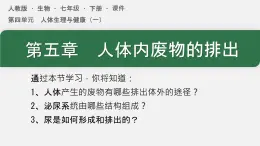 初中生物人教版（2024）七年級(jí)下冊(cè)4.5 人體內(nèi)廢物的排出 課件