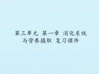 初中生物冀少版（2024）七年級下冊3.1 消化系統(tǒng)與營養(yǎng)攝取 復習課件