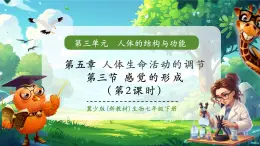【核心素養(yǎng)優(yōu)質(zhì)課】冀少版生物七年級下冊 3.5.3.2 感覺的形成（聽覺）（課件+同步教案+導學案+分層作業(yè)）