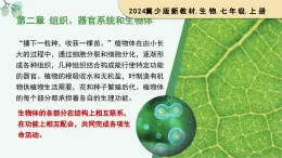 1.2.1 細(xì)胞的分裂（教學(xué)課件）生物冀少版2024七年級上冊