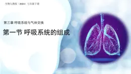 4.3.1 呼吸道對(duì)空氣的處理 課件 生物人教版（2024）七年級(jí)下冊(cè)第四單元