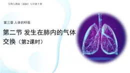 4.3.2 發(fā)生在肺內(nèi)的氣體交換 第2課時(shí)課件 生物人教版（2024）七年級(jí)下冊(cè)第四單元