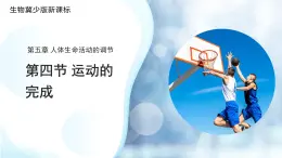 3.5.4 運動的完成 課件 生物冀少版（2024）七年級下冊第三單元