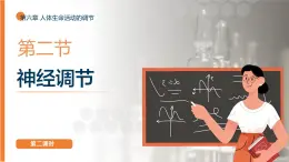 2025年秋人教版(2024)生物八年級上冊上課課件 第六章第二節(jié)《神經(jīng)調(diào)節(jié)》第二課時