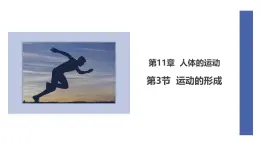 初中  生物  北师大版（2024）  七年级下册4.11.3 运动的形成 课件