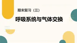 初中  生物  冀少版（2024）  七年級下冊3.3 呼吸系統(tǒng)與氣體交換 復習課件