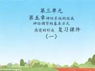 初中  生物  冀少版（2024）  七年級下冊3.5 人體生命活動的調(diào)節(jié) 復習課件（一）