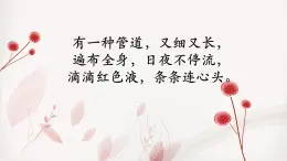 人教版初中生物七下4.4.2 血流的管道──血管課件