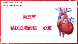 初中生物學(xué)人教版（2024）七年級下冊4.4.3輸送血液的泵──心臟課件