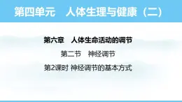 人教版（2024）八年级生物上册课件 第四单元 第六章 第二节 第二课时 神经调节的基本方式