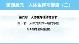 人教版（2024）八年级生物上册课件 第四单元 第六章 第一节 第一课时 眼和视觉