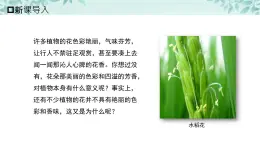 【核心素养目标】北京版初中生物八年级上册4.1.1《绿色开花植物的生殖和发育·》课件