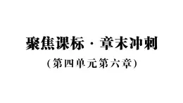 初中生物新人教版八年級(jí)上冊(cè)第四單元第六章聚焦課標(biāo)·章末沖刺作業(yè)課件（含答案）（2025秋）