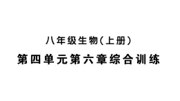 初中生物新人教版八年級(jí)上冊(cè)第四單元第六章綜合訓(xùn)練作業(yè)課件（含答案）（2025秋）