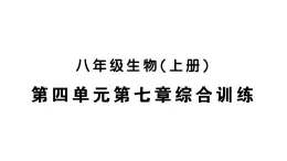 初中生物新人教版八年級(jí)上冊(cè)第四單元第七章綜合訓(xùn)練作業(yè)課件（含答案）（2025秋）