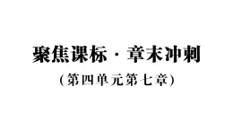 初中生物新人教版八年級(jí)上冊(cè)第四單元第七章聚焦課標(biāo)·章末沖刺作業(yè)課件（含答案）（2025秋）