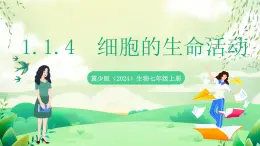 冀少版（2024）生物七上 1.1.4  細(xì)胞的生命活動(dòng) 課件