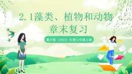 冀少版（2024）生物七上 2.1藻類、植物和動(dòng)物 章末復(fù)習(xí) 課件