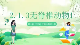 冀少版（2024）生物七上 2.1.3 無(wú)脊椎動(dòng)物1 課件