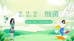 冀少版（2024）生物七上 2.2.2 細(xì)菌 課件