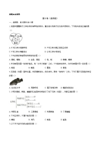 初中生物人教版（2024）七年級上冊（2024）脊椎動物鞏固練習(xí)