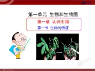 第1節(jié)生物的特征 課件
