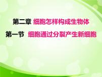 人教版 (新課標(biāo))七年級上冊第一節(jié) 細(xì)胞通過分裂產(chǎn)生新細(xì)胞示范課ppt課件