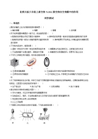 初中北師大版第1節(jié)  微生物在生物圈中的作用課時(shí)訓(xùn)練