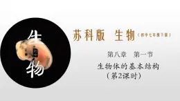 8.1 生物體的基本結(jié)構(gòu)（第二課時(shí)）七年級下冊生物