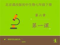 初中生物北京版七年级下册第一节 人的呼吸评课课件ppt